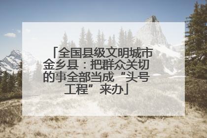 全国县级文明城市金乡县：把群众关切的事全部当成“头号工程”来办